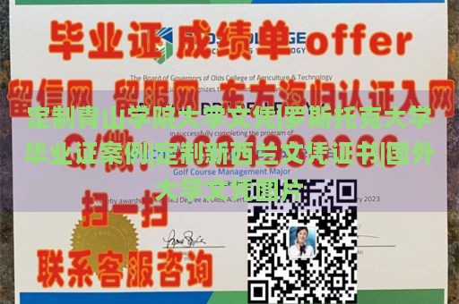 定制青山学院大学文凭|罗斯托克大学毕业证案例|定制新西兰文凭证书|国外大学文凭图片