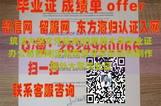 筑波大学文凭样本|伯明翰大学毕业证办公司官网|定制西班牙学历证书|制作国外大学毕业证