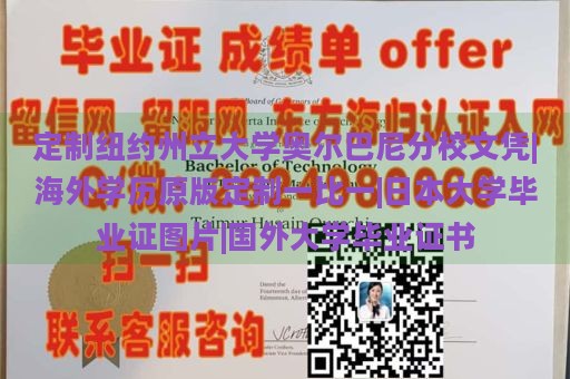 定制纽约州立大学奥尔巴尼分校文凭|海外学历原版定制一比一|日本大学毕业证图片|国外大学毕业证书