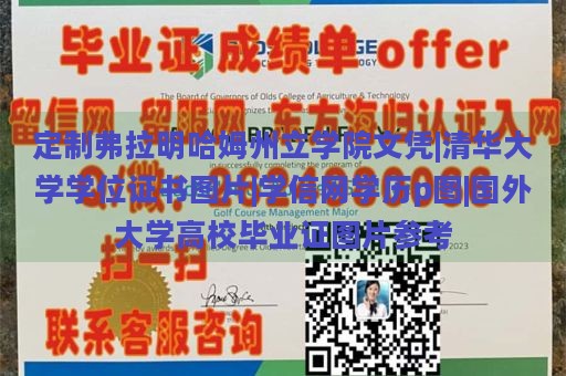 定制弗拉明哈姆州立学院文凭|清华大学学位证书图片|学信网学历p图|国外大学高校毕业证图片参考