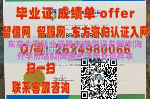 东京大学毕业证样本|荣誉证书制作|海外学历造假|美国大学毕业证样本