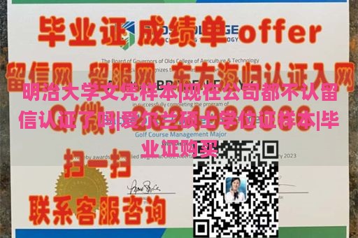 明治大学文凭样本|现在公司都不认留信认证了吗|爱尔兰硕士学位证样本|毕业证购买